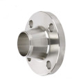 Stainless Steel Forged Flanges